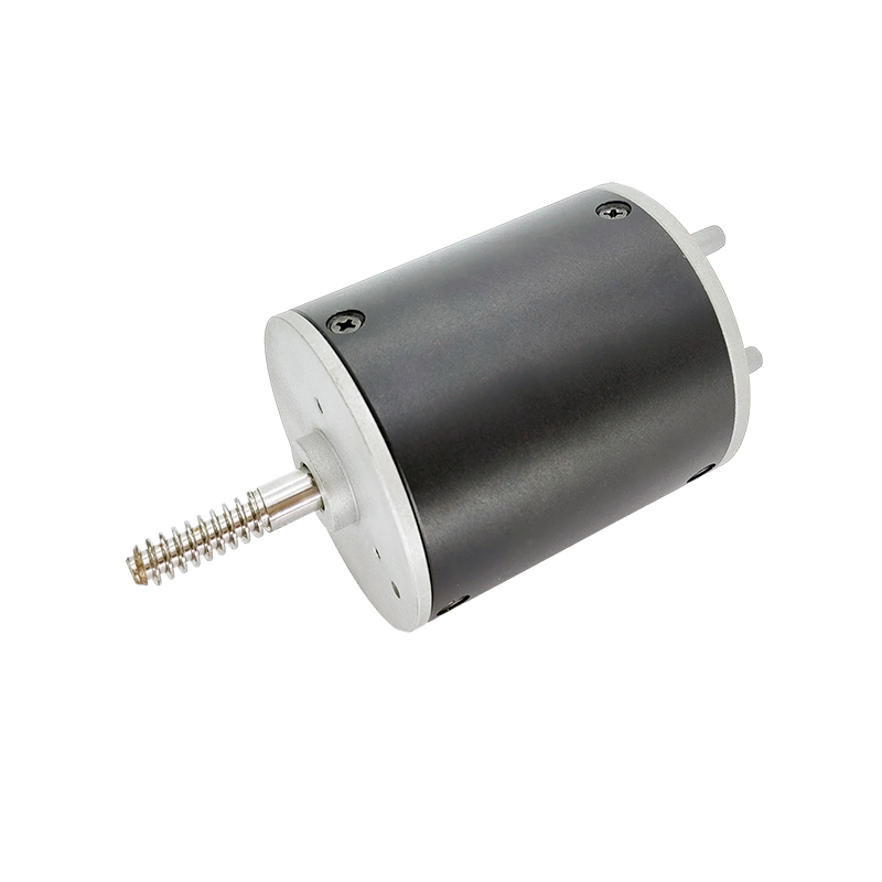 24V 36V BL6070 brushless motor for coffee machines and bean grinders